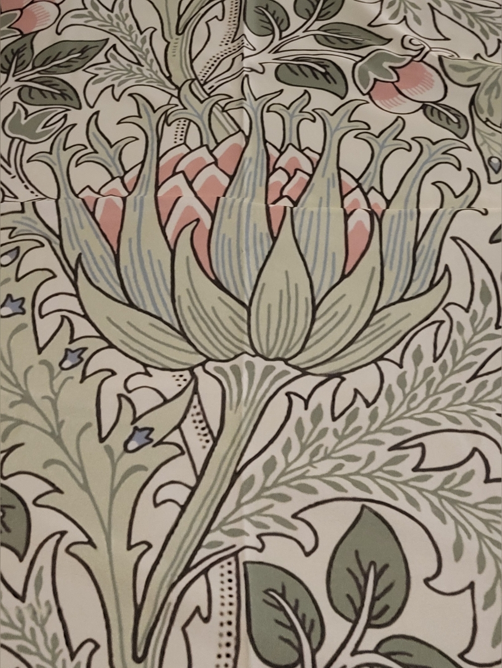 Croscill Floral Sage Green Pink Shower Curtain With White Metal Hooks NWOT - Picture 2 of 14